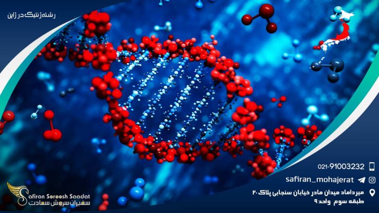 رشته ژنتیک در ژاپن