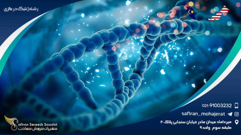 رشته ژنتیک در مالزی