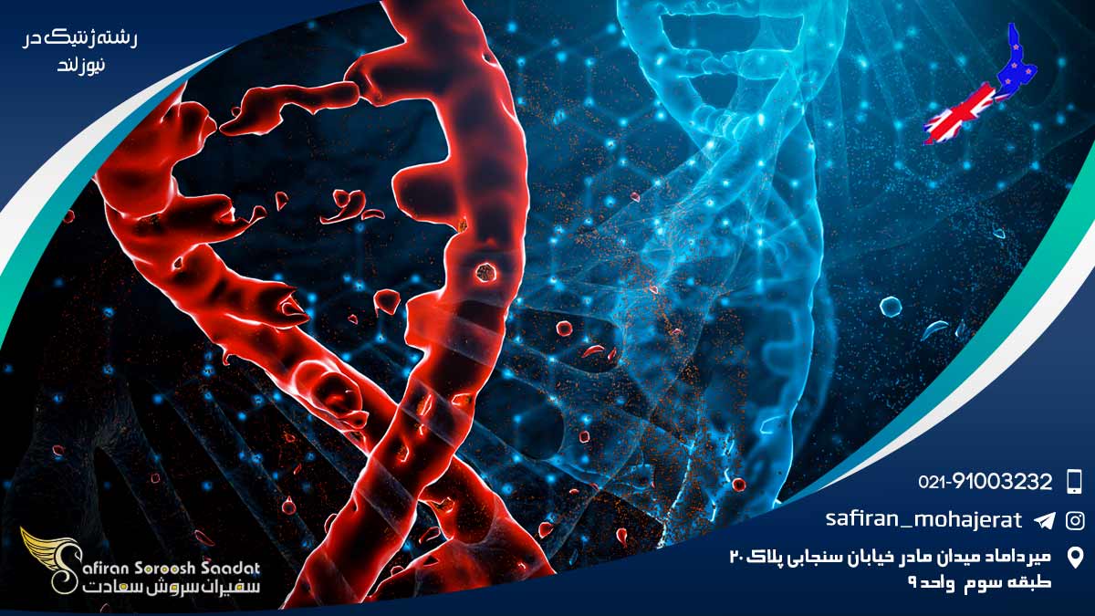 دانشگاه های برتر ارائه دهنده رشته ژنتیک در نیوزلند رشته ژنتیک در نیوزلند