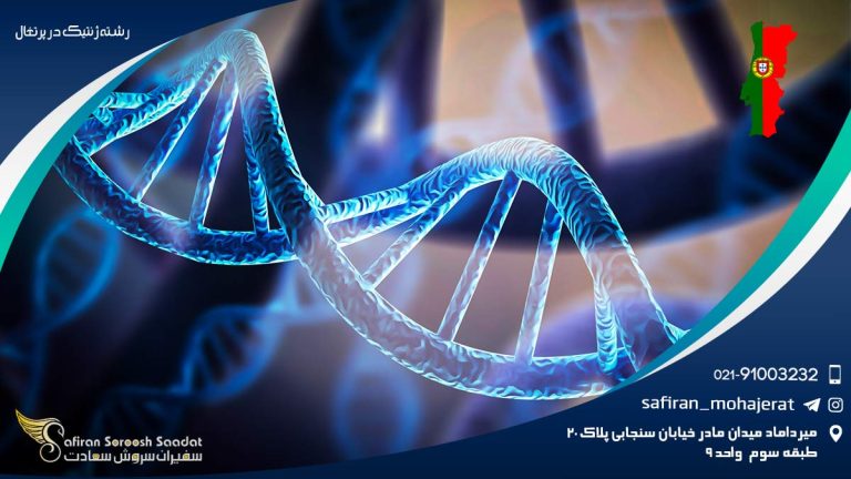 رشته ژنتیک در پرتغال