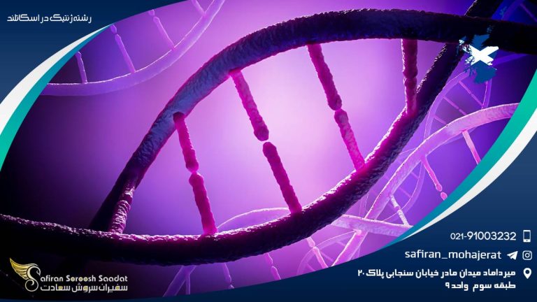رشته ژنتیک در اسکاتلند