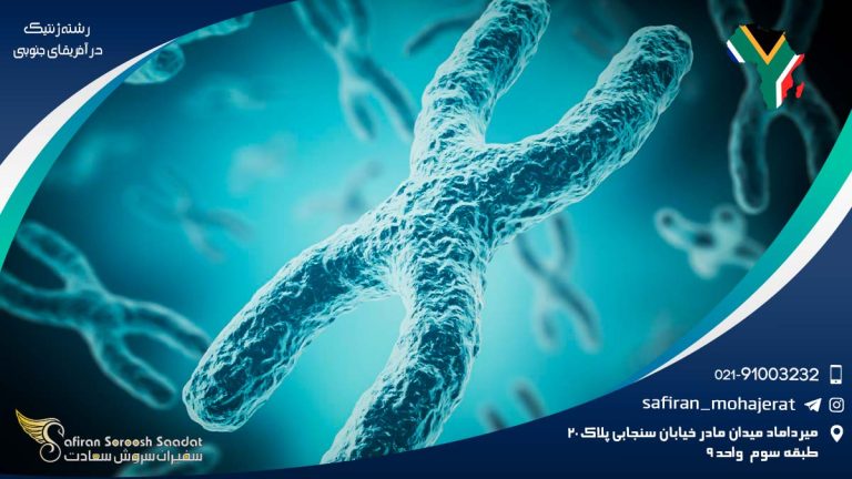 رشته ژنتیک در آفریقای جنوبی