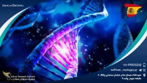 رشته ژنتیک در اسپانیا