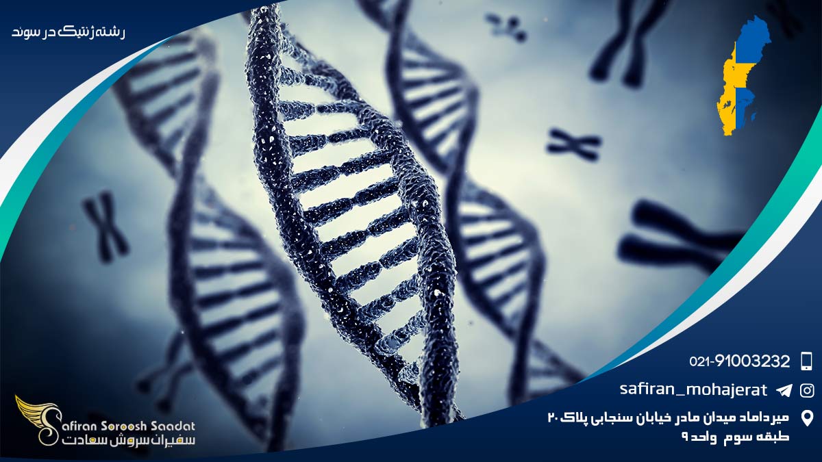 مزایای تحصیل رشته ژنتیک در سوئد رشته ژنتیک در سوئد