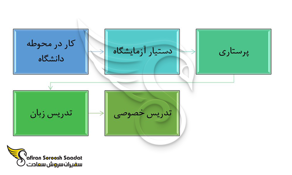 محبوب ترین مشاغل دانشجویی برای کار پاره وقت در آرژانتین