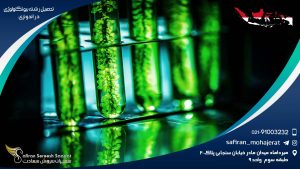 تحصیل رشته بیوتکنولوژی در اندونزی