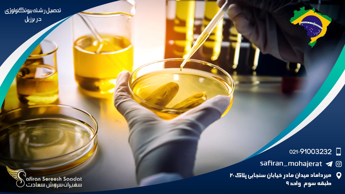 مراکز ارائه دهنده رشته بیوتکنولوژی در برزیل رشته بیوتکنولوژی در برزیل