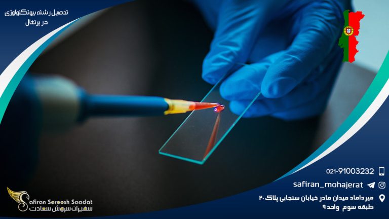 رشته بیوتکنولوژی در پرتغال