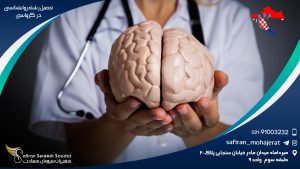 تحصیل رشته روانشناسی در کرواسی
