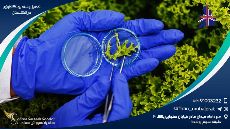 رشته بیوتکنولوژی در انگلستان