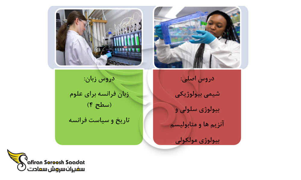 دروس اصلی سال اول دانشجویان در مقطع کارشناسی بیوتکنولوژی در فرانسه