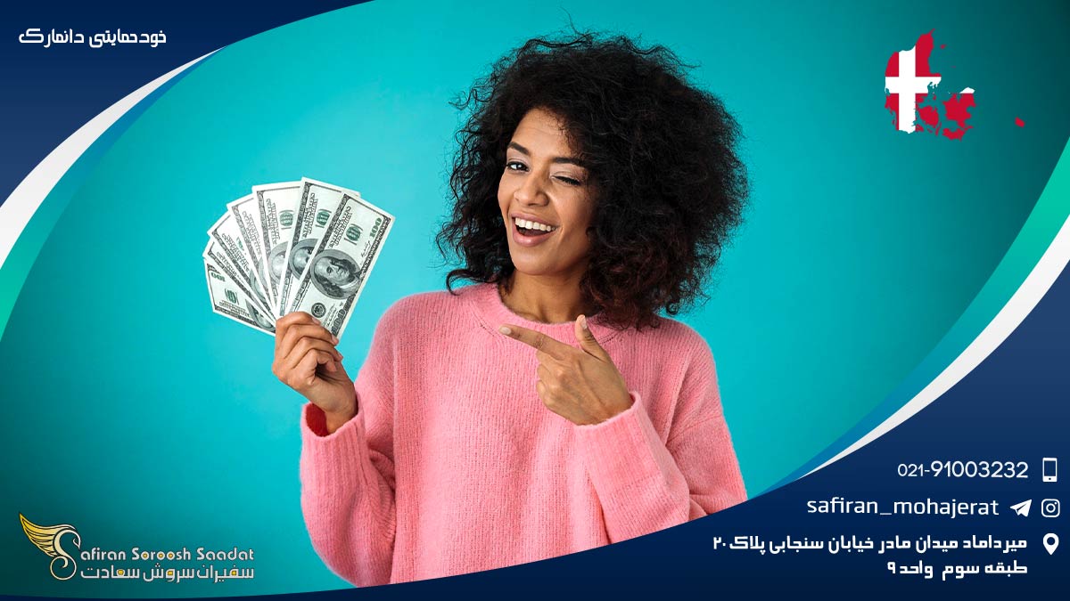 مدارک لازم برای اخذ اقامت خودحمایتی دانمارک خودحمایتی دانمارک