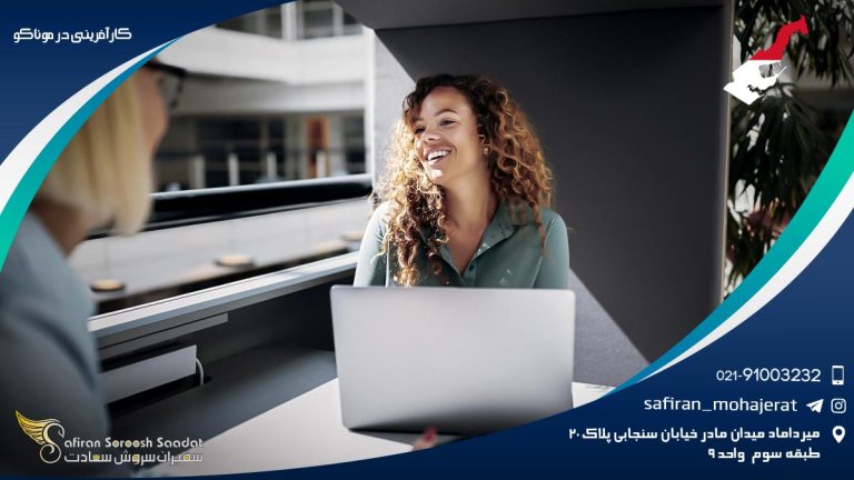 کارآفرینی در موناکو
