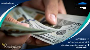 خودحمایتی استونی