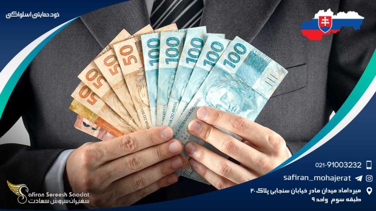 خودحمایتی اسلواکی