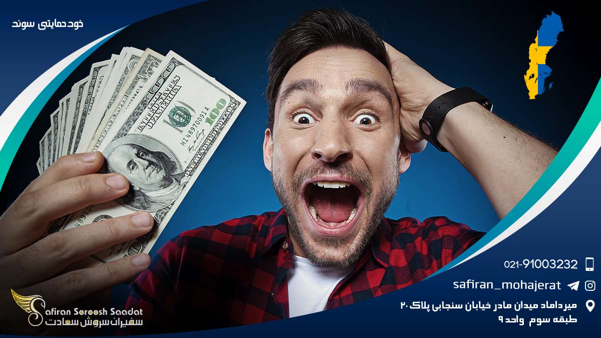خودحمایتی سوئد یا سرمایه گذاری در سوئد خودحمایتی سوئد