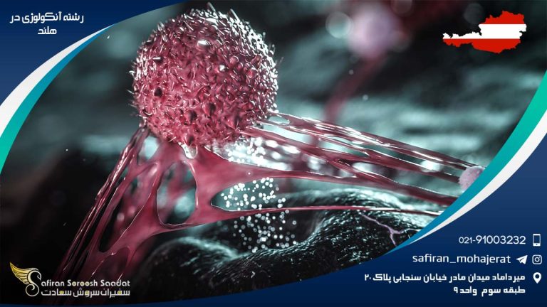 رشته آنکولوژی در هلند
