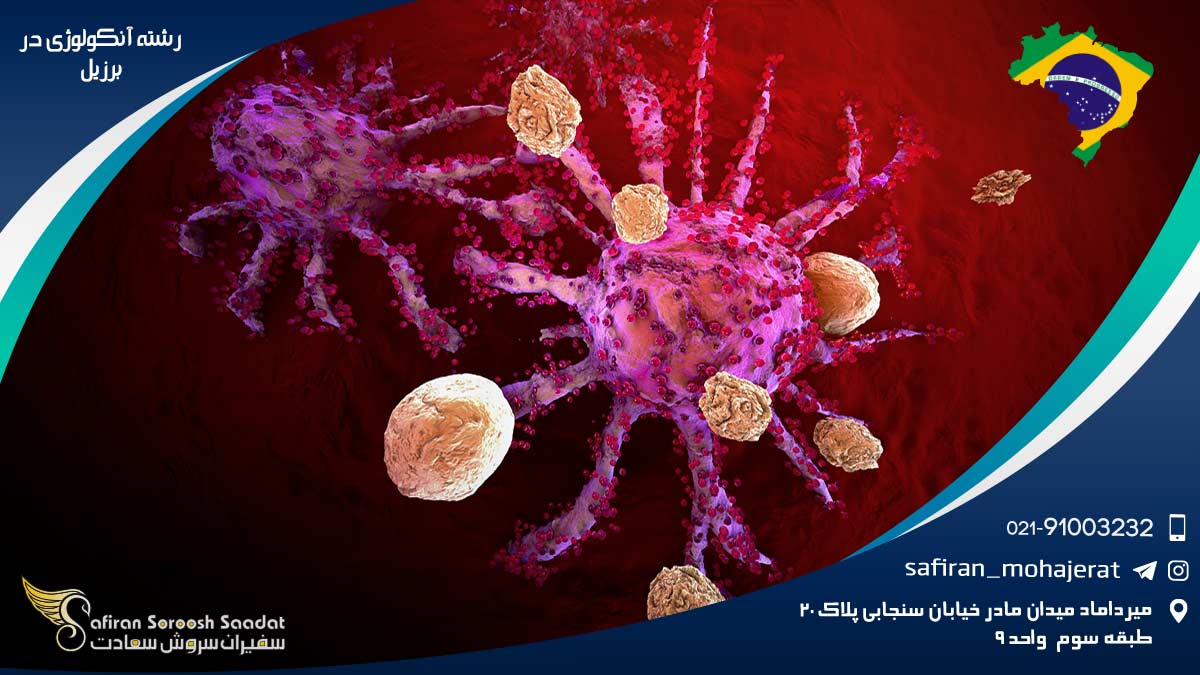 هزینه تحصیل رشته آنکولوژی در برزیل رشته آنکولوژی در برزیل