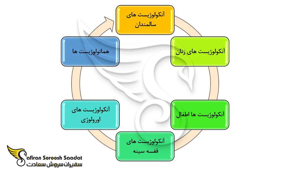 حوزه های کلیدی در رشته آنکولوژی در نیوزلند