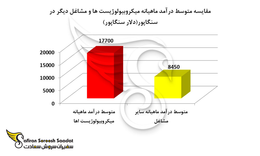مقایسه متوسط درآمد ماهیانه میکروبیولوژیست ها و مشاغل دیگر در سنگاپور