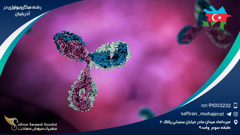 رشته میکروبیولوژی در آذربایجان