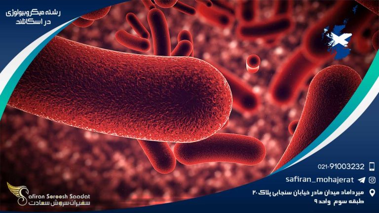 رشته میکروبیولوژی در اسکاتلند