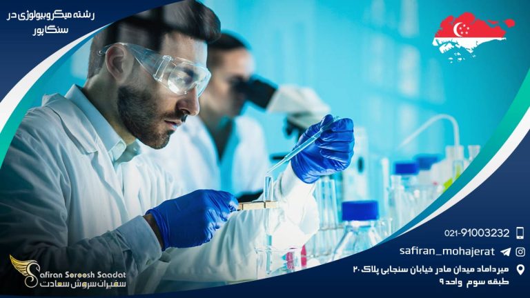 رشته میکروبیولوژی در سنگاپور