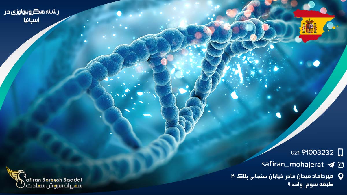 رشته میکروبیولوژی در اسپانیا