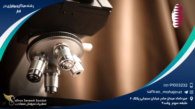 رشته میکروبیولوژی در قطر