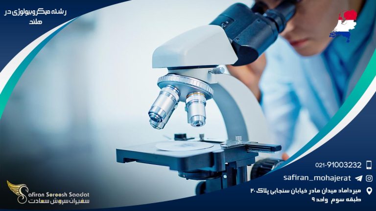 رشته میکروبیولوژی در هلند
