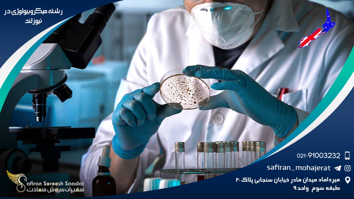 هزینه تحصیل رشته میکروبیولوژی در نیوزلند رشته میکروبیولوژی در نیوزلند