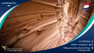 رشته زمین شناسی در هلند