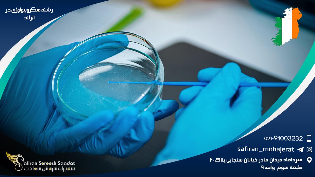 هزینه تحصیل رشته میکروبیولوژی در ایرلند رشته میکروبیولوژی در ایرلند