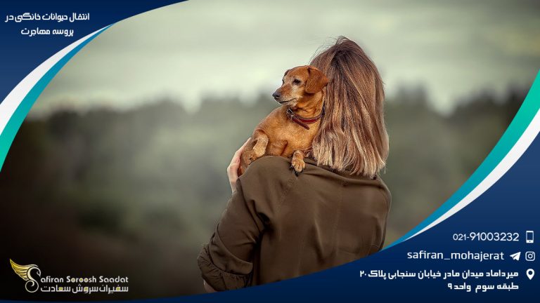انتقال حیوانات خانگی در پروسه مهاجرت