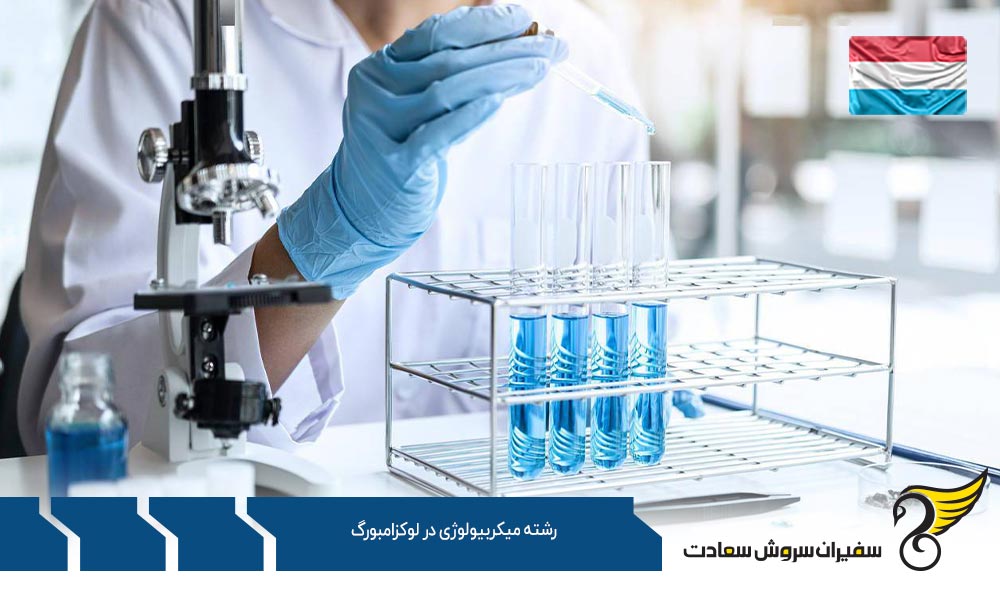 ویزا جهت تحصیل رشته میکروبیولوژی در لوکزامبورگ