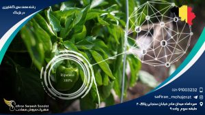 رشته مهندسی کشاورزی در بلژیک