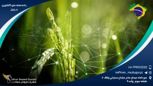 رشته مهندسی کشاورزی در برزیل