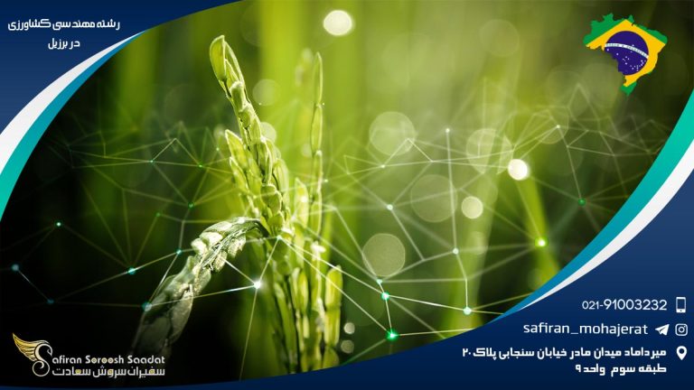 رشته مهندسی کشاورزی در برزیل