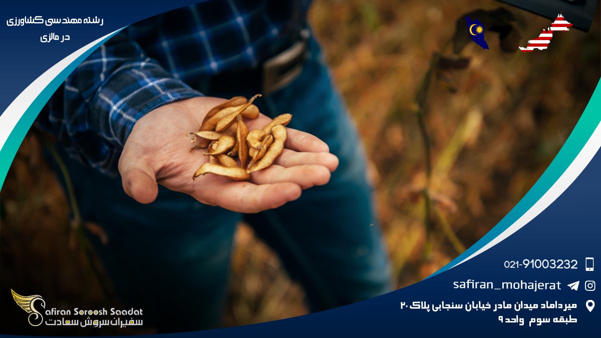 هزینه تحصیل رشته مهندسی کشاورزی در مالزی رشته مهندسی کشاورزی در مالزی
