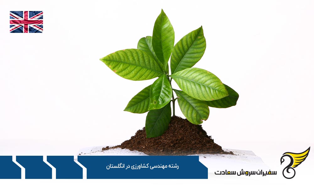 شرایط تحصیل رشته مهندسی کشاورزی در انگلستان
