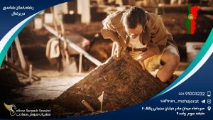 رشته باستان شناسی در پرتغال