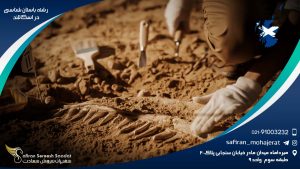 رشته باستان شناسی در اسکاتلند