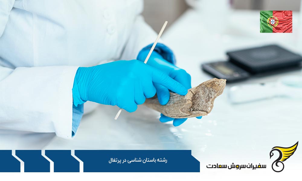 رشته باستان شناسی در دانشگاه پرتوی پرتغال
