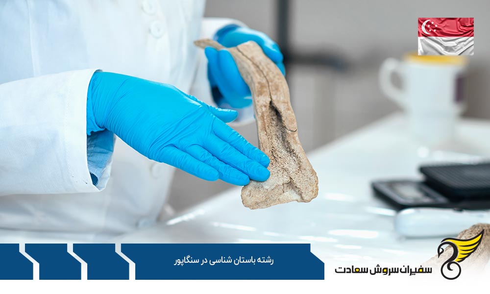 هزینه تحصیل و زندگی دانشجویان رشته باستان شناسی در سنگاپور