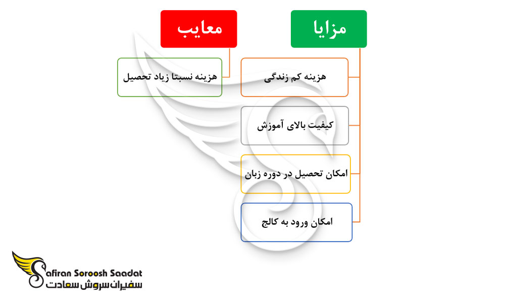 مزایا و معایب تحصیل در مجارستان در رشته رادیولوژی