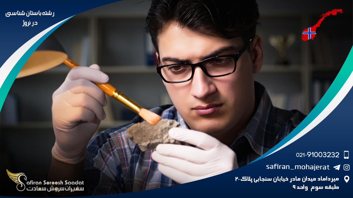 هزینه تحصیل رشته باستان شناسی در نروژ رشته باستان شناسی در نروژ