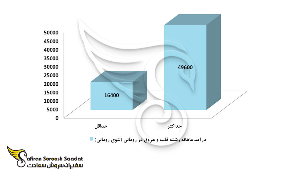 حدود درآمد رشته قلب و عروق در رومانی