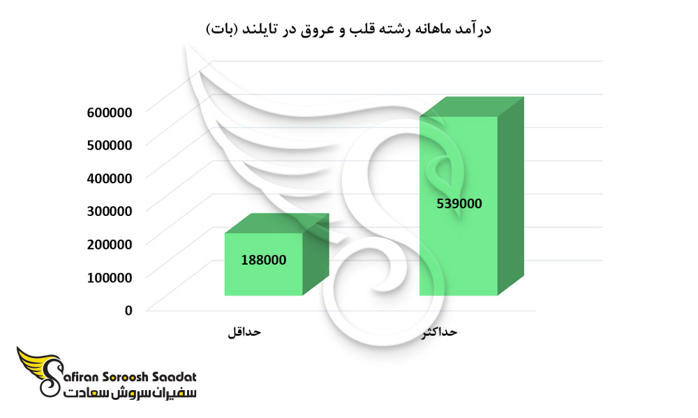 حدود درآمد رشته قلب و عروق در تایلند