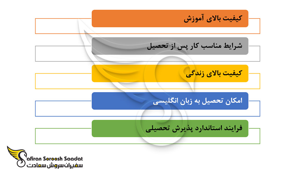 مزایای تحصیل رشته قلب و عروق در دانمارک