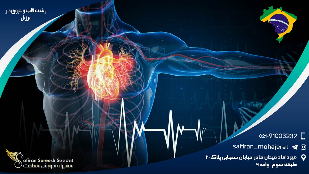 رشته قلب و عروق در برزیل